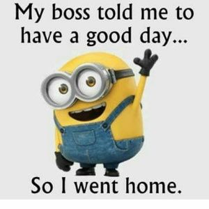 Meet your Posher, Merial